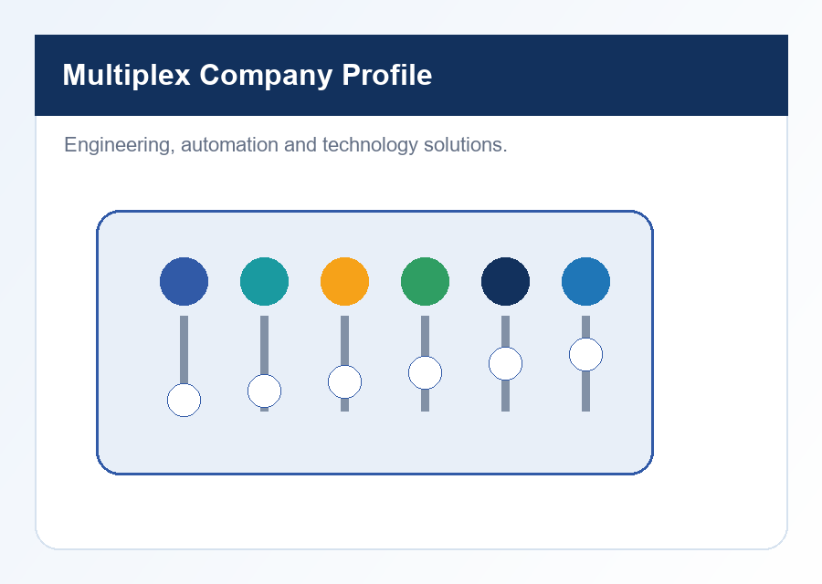 Multiplex Company Profile brochure cover